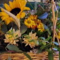 Flower baskets